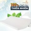 Đệm cao su everhome deluxe