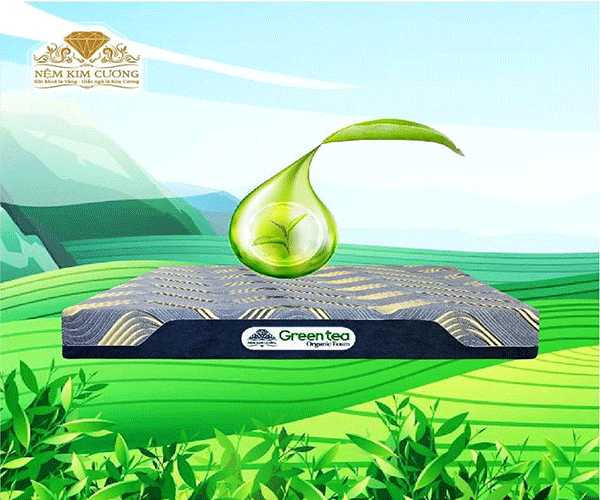 Đệm foam cap cấp