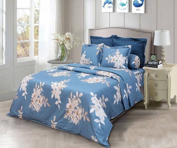 Bộ chăn ga gối Sông Hồng BC21036