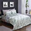Bộ chăn ga gối Sông Hồng BC21041