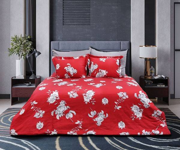 Bộ chăn ga gối Sông Hồng BC21042