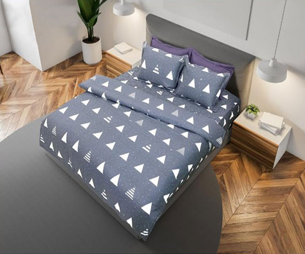 Bộ chăn ga gối Sông Hồng BC20001