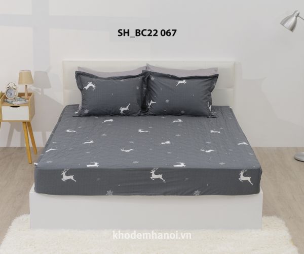 bộ chăn ga gối basic sông hồng bc22067 chính hãng tại hà nội