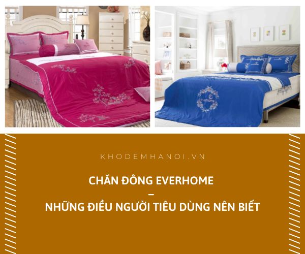 chăn đông everhome những điều nên biết