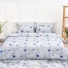 chăn ga gối sông hồng basic vải cotton bc22057