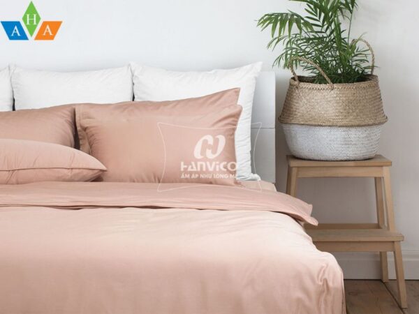Bộ ga chun LIVING – LV25