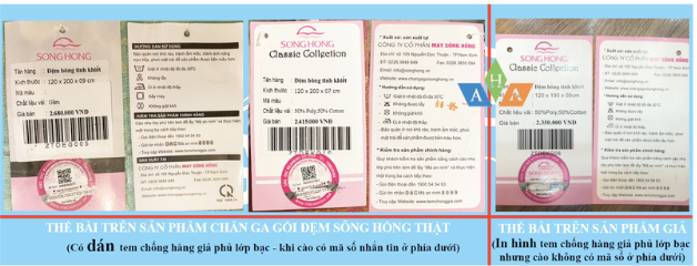 Anh chup Man hinh 2024 09 13 luc 18.33.07