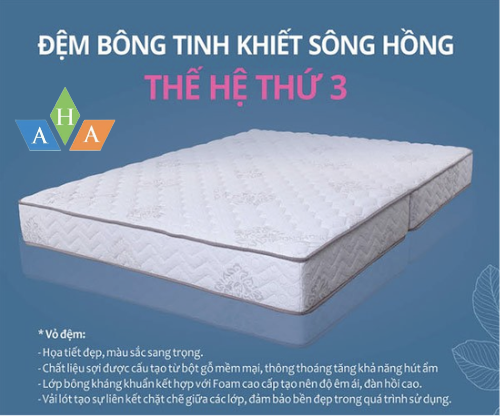 Anh chup Man hinh 2024 10 13 luc 21.11.20