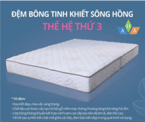 Đệm Sông Hồng